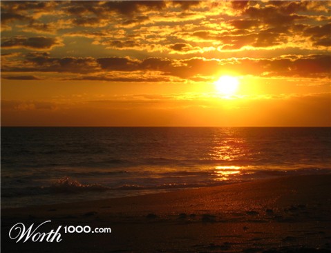 Photography by hollistereagle8