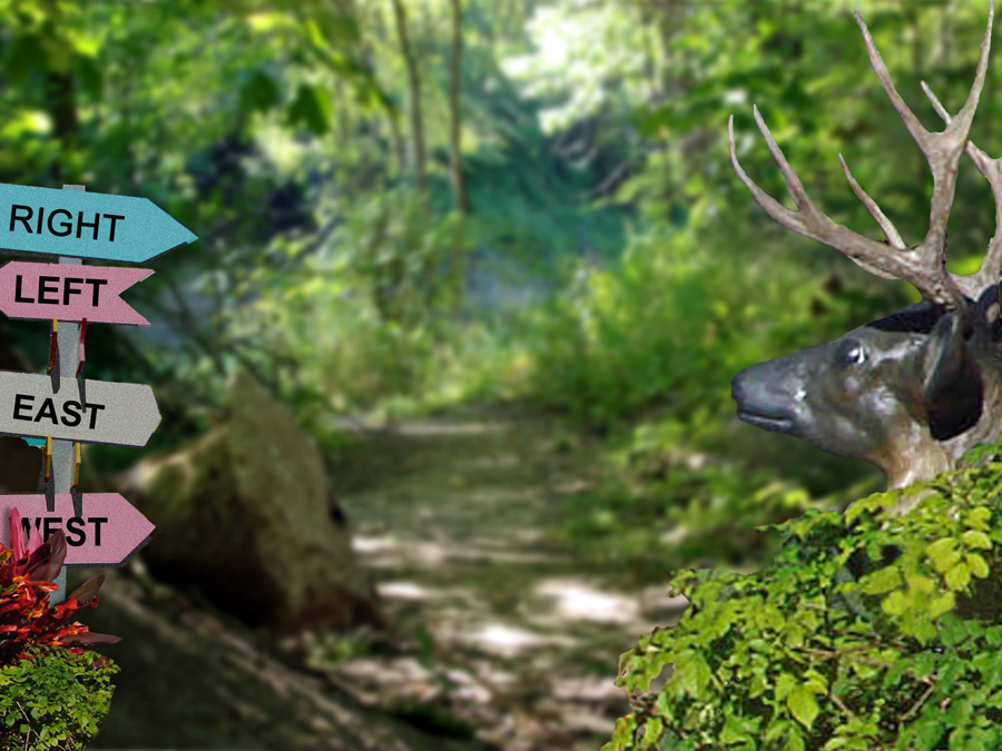 Photoshop Design by janefrog for DesignCrowd (Community Contests) | Design #8951958