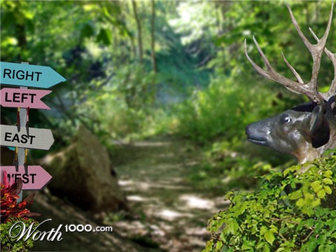 Photoshop Design by janefrog