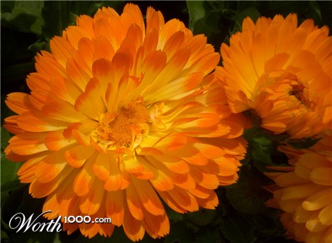 Photography by Jayahada