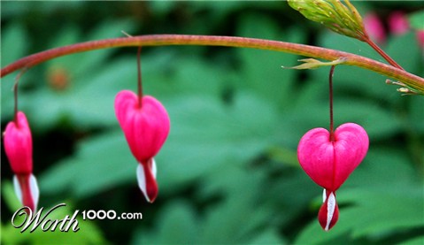 Photography by PhotosbyM