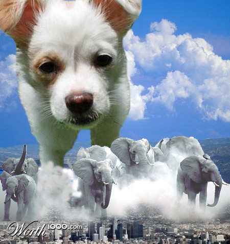 Photoshop Design by FodoChopper