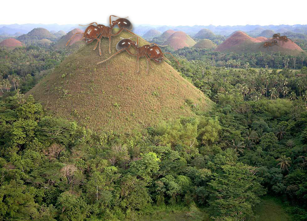 Diseño de Photoshop por ayuhasca para DesignCrowd (Community Contests) | Diseño #8948122