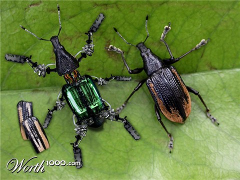 Photoshop Design by canemalato