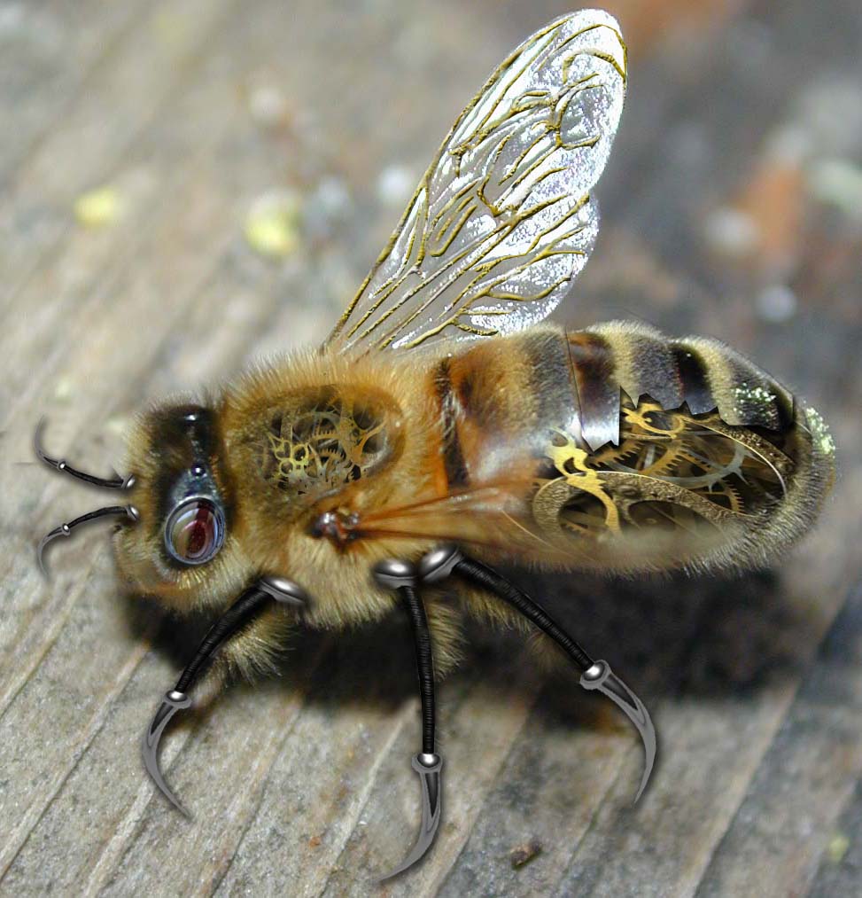 Photoshop Design by gaellem for DesignCrowd (Community Contests) | Design #8950961