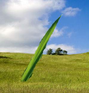 Design Photoshop par MarekObarma pour DesignCrowd (Community Contests) | Design #8948183