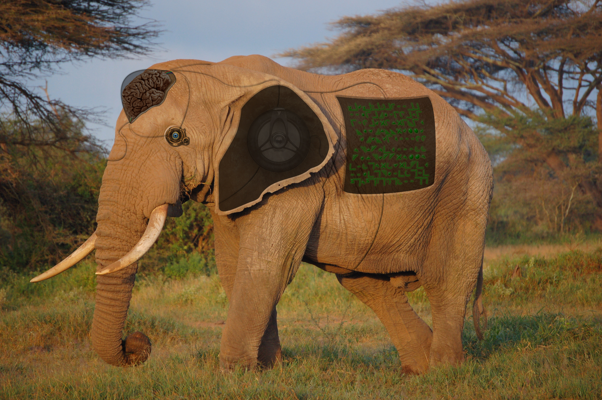 Photoshop Design by Demo2b for DesignCrowd (Community Contests) | Design #8950954