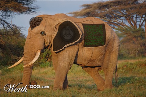 Photoshop Design by Demo2b