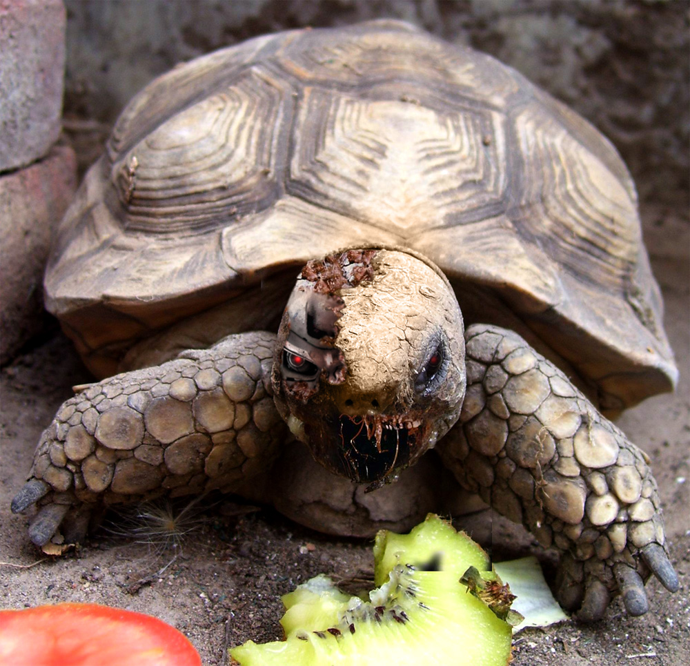 Photoshop Design by manoluk for DesignCrowd (Community Contests) | Design #8950948