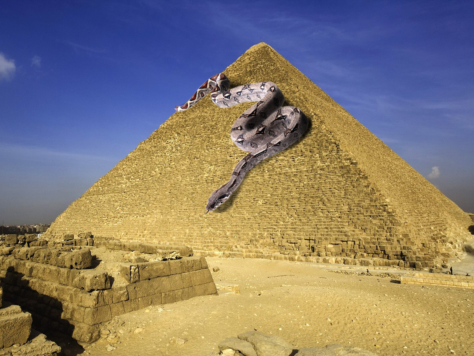 Photoshop-Design von connord94 für DesignCrowd (Community Contests) | Design #8948155