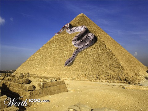 Photoshop Design by connord94