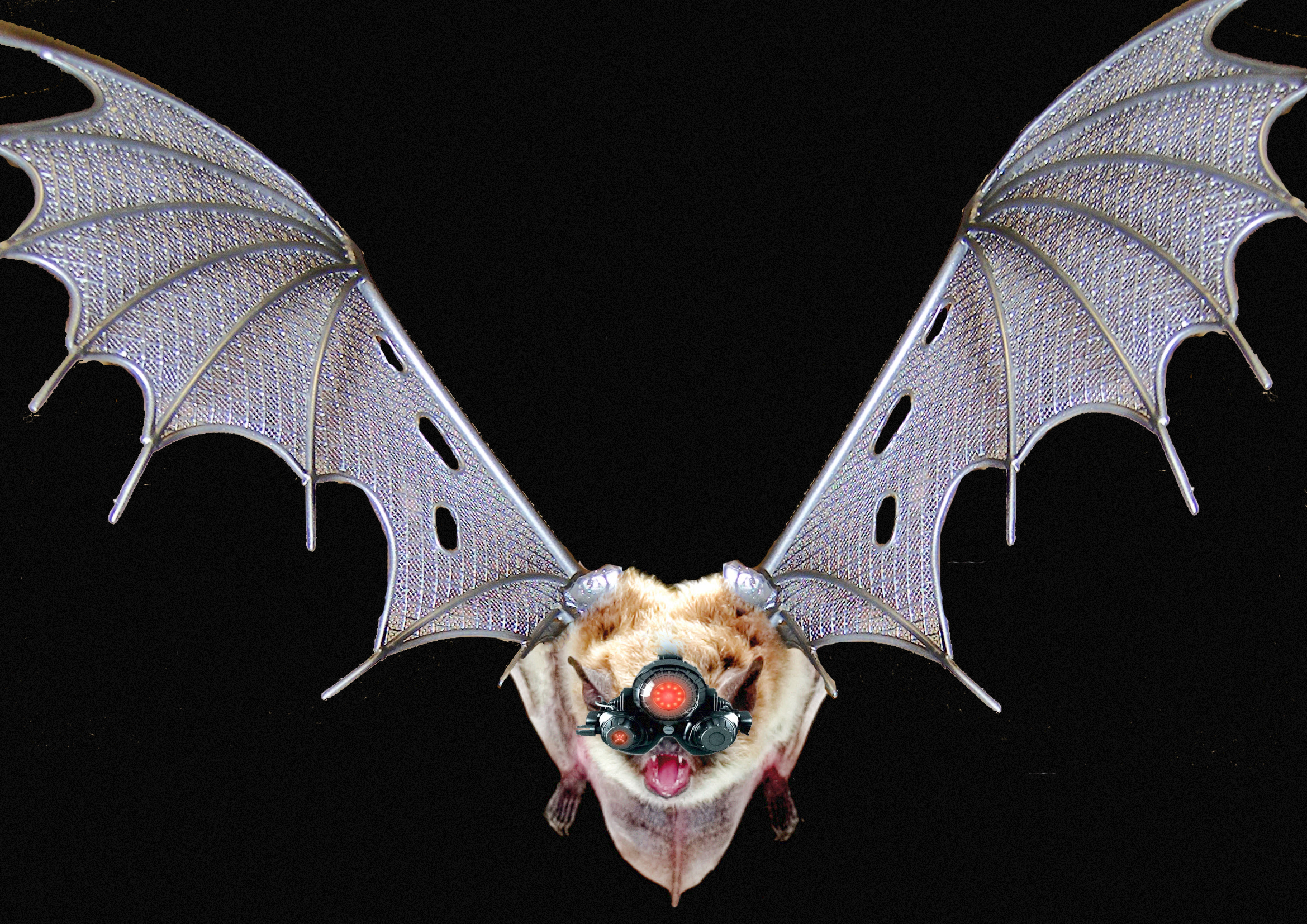 Photoshop Design by rayhyde for DesignCrowd (Community Contests) | Design #8950945