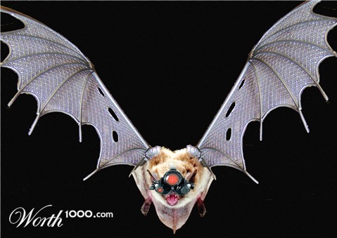 Photoshop Design by rayhyde