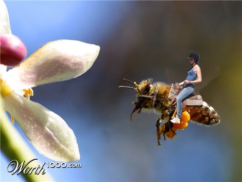 Photoshop Design by samizzle