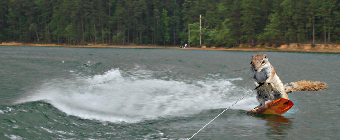 Photoshop Design by SphiPony for DesignCrowd (Community Contests) | Design #8948198