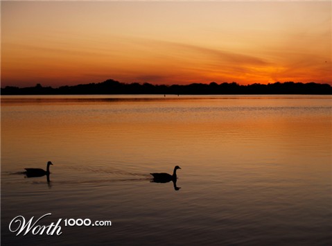 Photography by surfordream