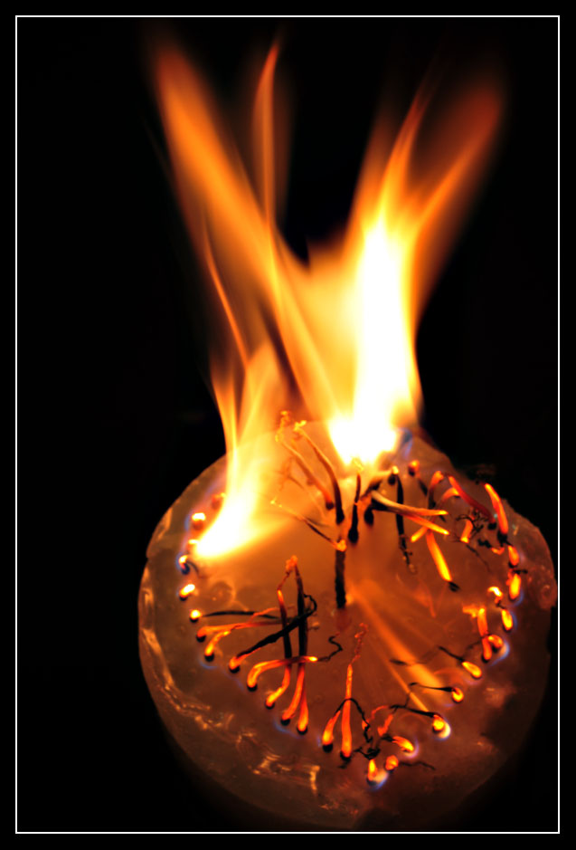 Photography by Isabella2006 for DesignCrowd (Community Contests) | Design #8948136