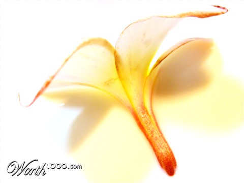 Photography by francodr