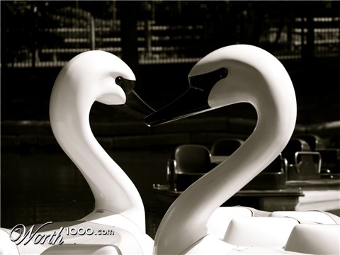Photography by Oneipa