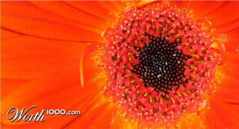 Photography by tHillbilly