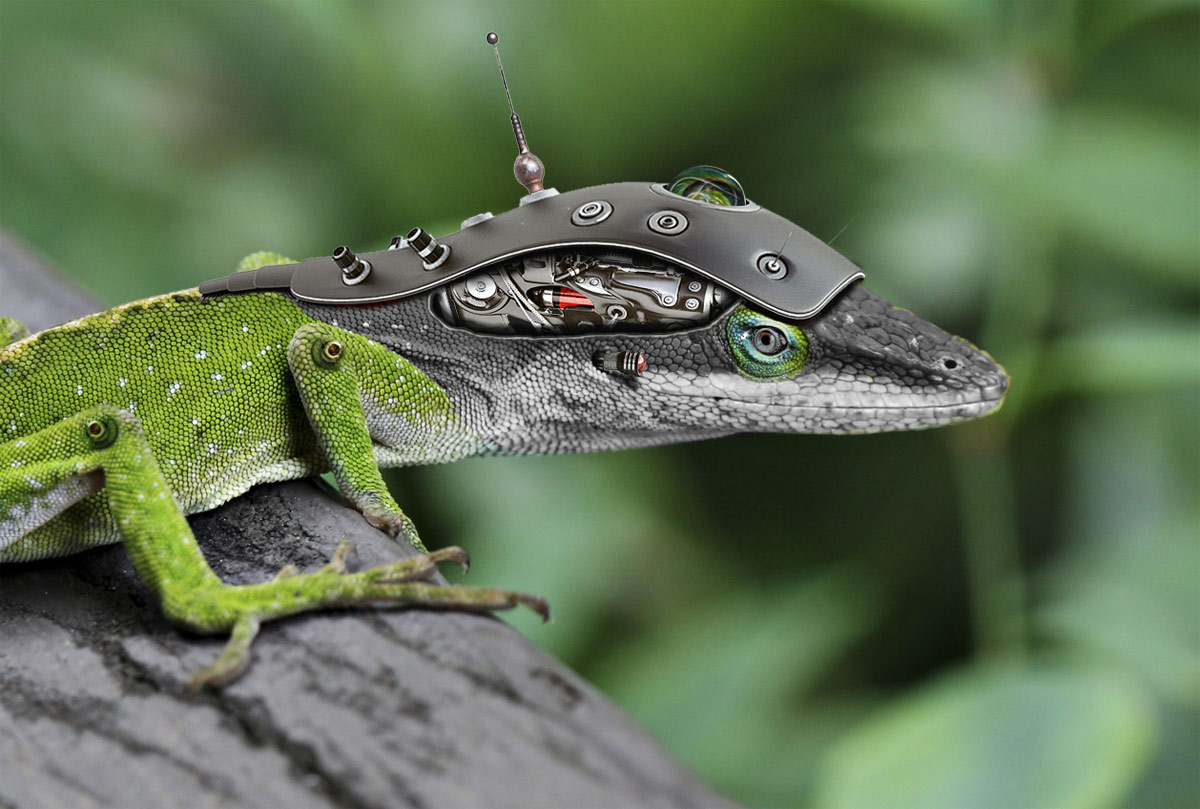 Design Photoshop par underworth pour DesignCrowd (Community Contests) | Design #8950974