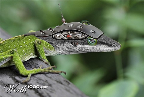 Photoshop Design by underworth