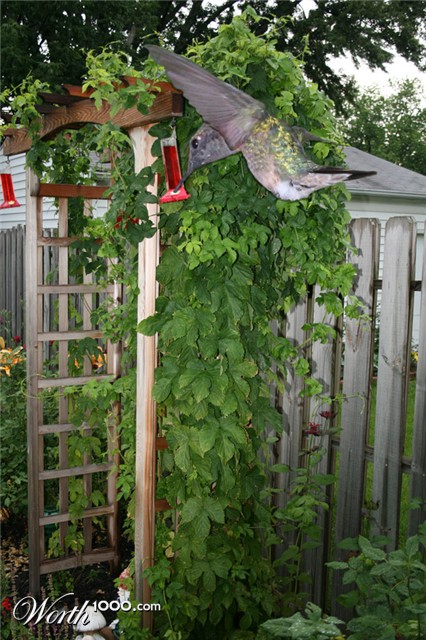 Photoshop Design by ama168