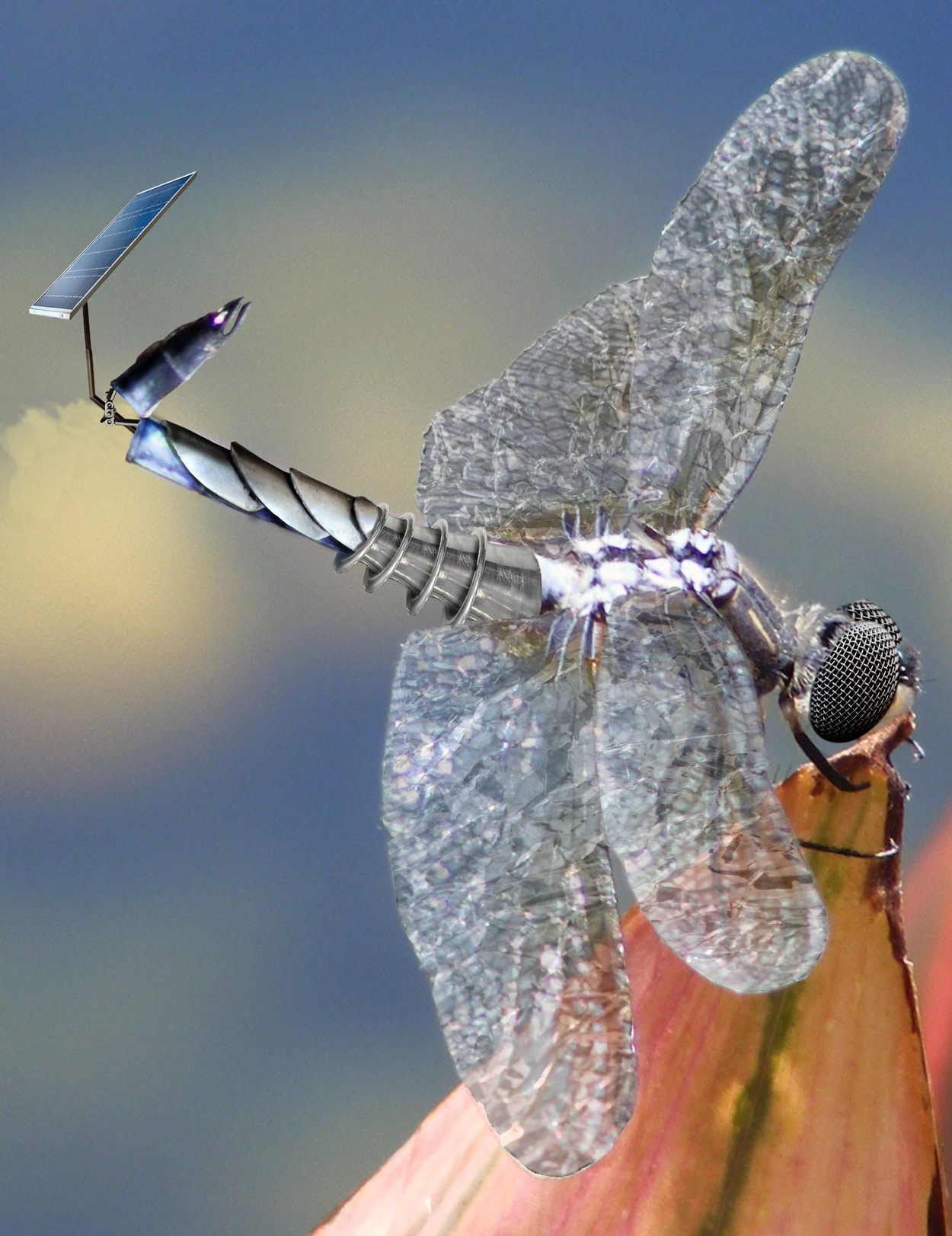 Photoshop Design by exposed for DesignCrowd (Community Contests) | Design #8950978