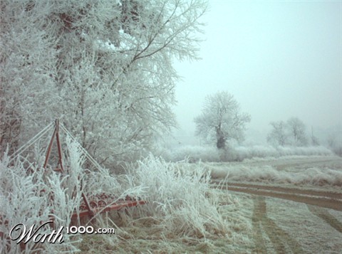 Photography by emmahanson13