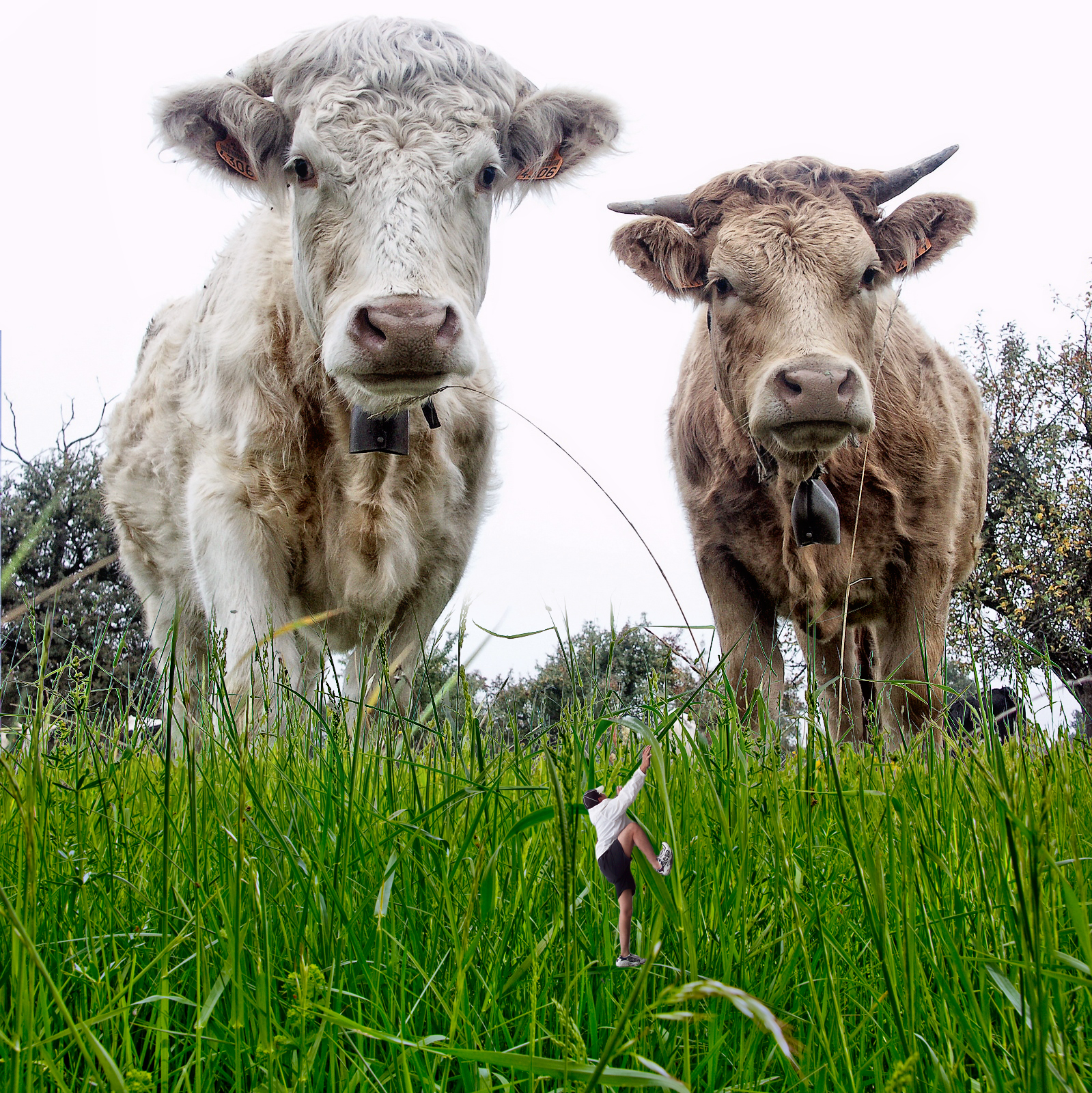 Photoshop Design by kremerb for DesignCrowd (Community Contests) | Design #8948325