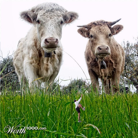 Photoshop Design by kremerb