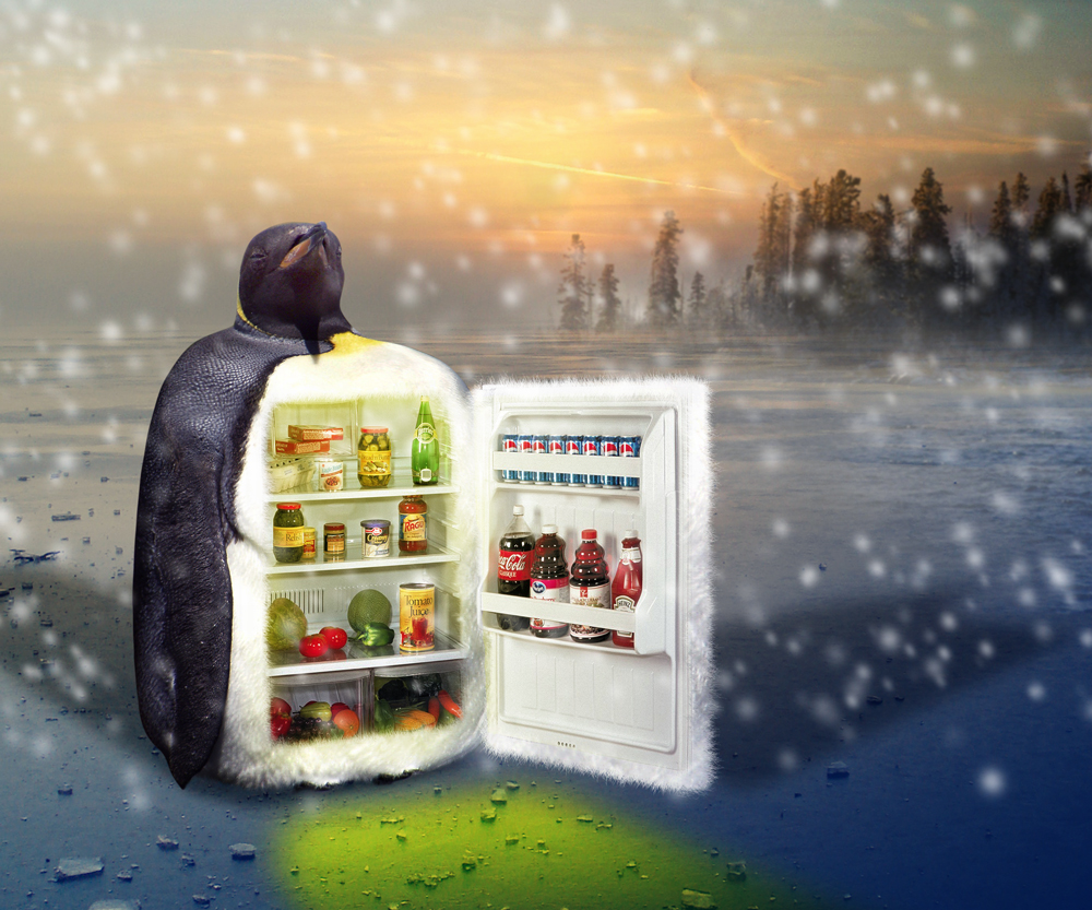 Photoshop Design by MunkiTrumpet for DesignCrowd (Community Contests) | Design #8950981