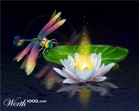 Photoshop Design by Slammer