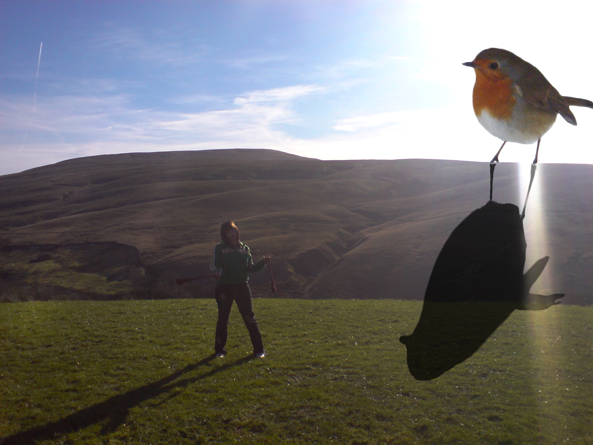 Photoshop Design by ridder for DesignCrowd (Community Contests) | Design #8948470