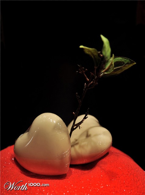 Photography by toscio