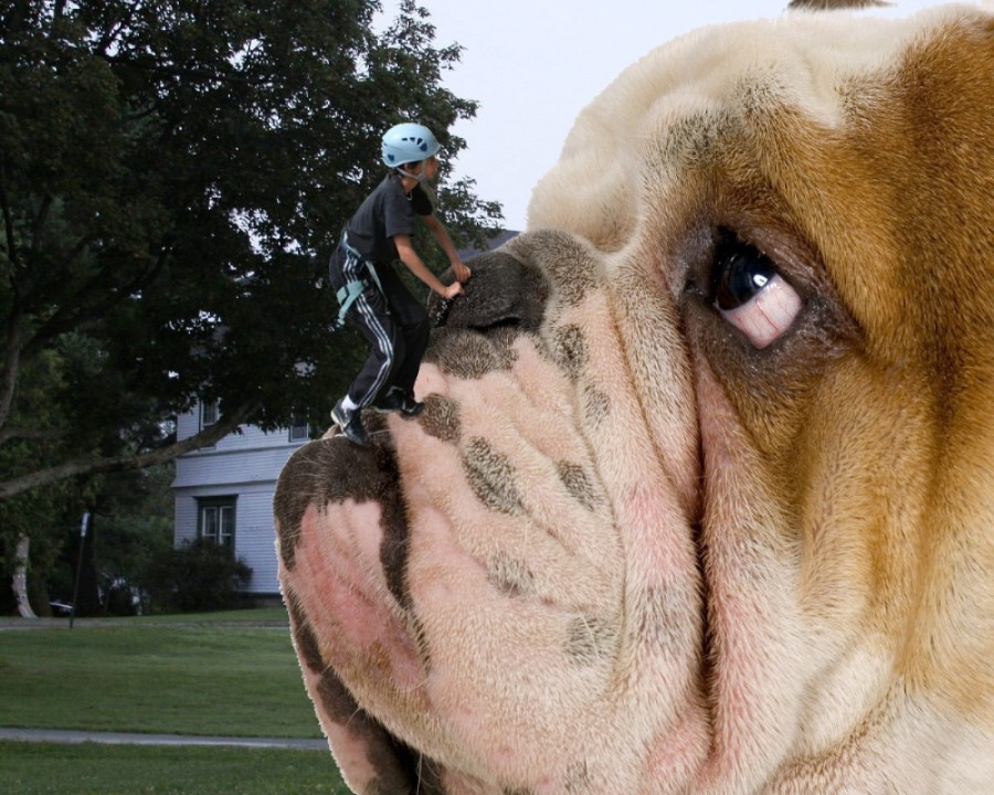 Photoshop-Design von zippy45 für DesignCrowd (Community Contests) | Design #8948424