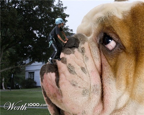 Photoshop Design by zippy45