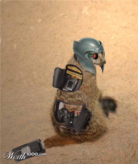 Photoshop Design by Pertubado