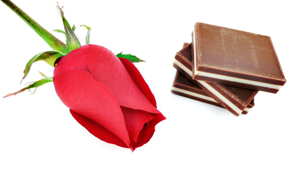 Photography by sausirhi for DesignCrowd (Community Contests) | Design #8947666