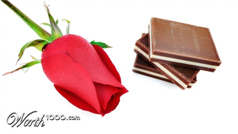 Photography by sausirhi