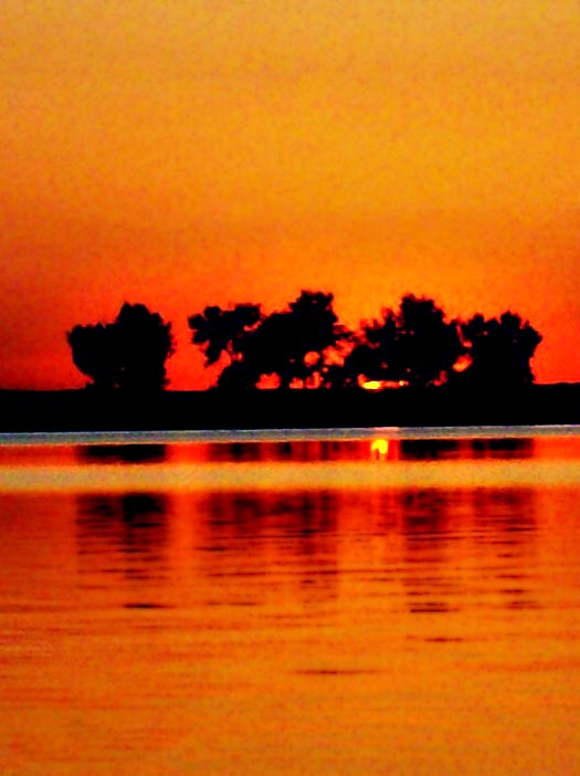 Photography by CarissaLynn for DesignCrowd (Community Contests) | Design #8951165