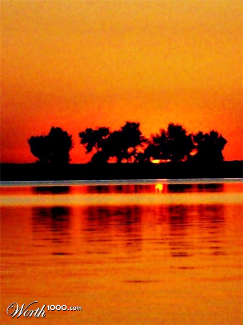 Photography by CarissaLynn