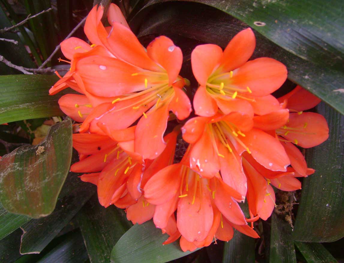 Photography by narinearraul for DesignCrowd (Community Contests) | Design #8951309