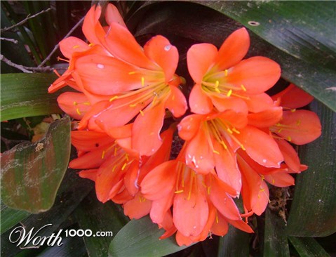 Photography by narinearraul