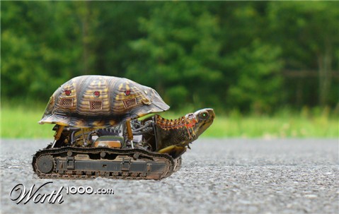 Photoshop Design by stormr