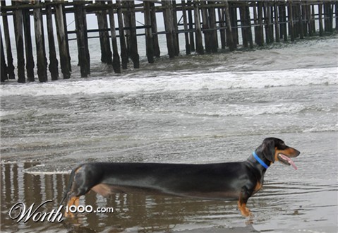 Photoshop Design by ConnieB