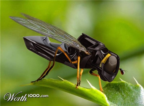 Photoshop Design by YearoftheDragon