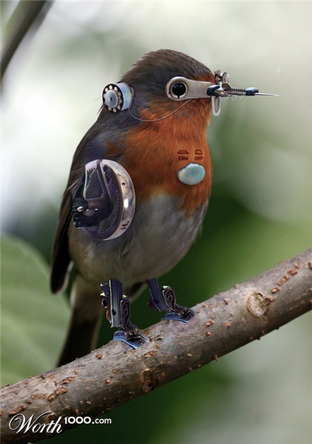 Photoshop Design by kzk666