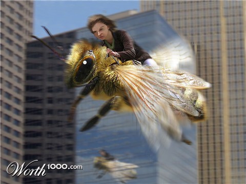 Photoshop Design by sunny2Day