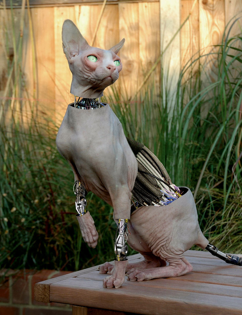 Diseño de Photoshop por Mandrak para DesignCrowd (Community Contests) | Diseño #8951010